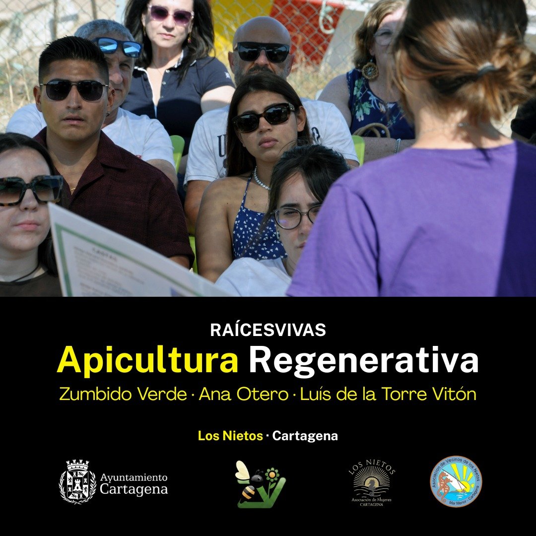 Actividad
